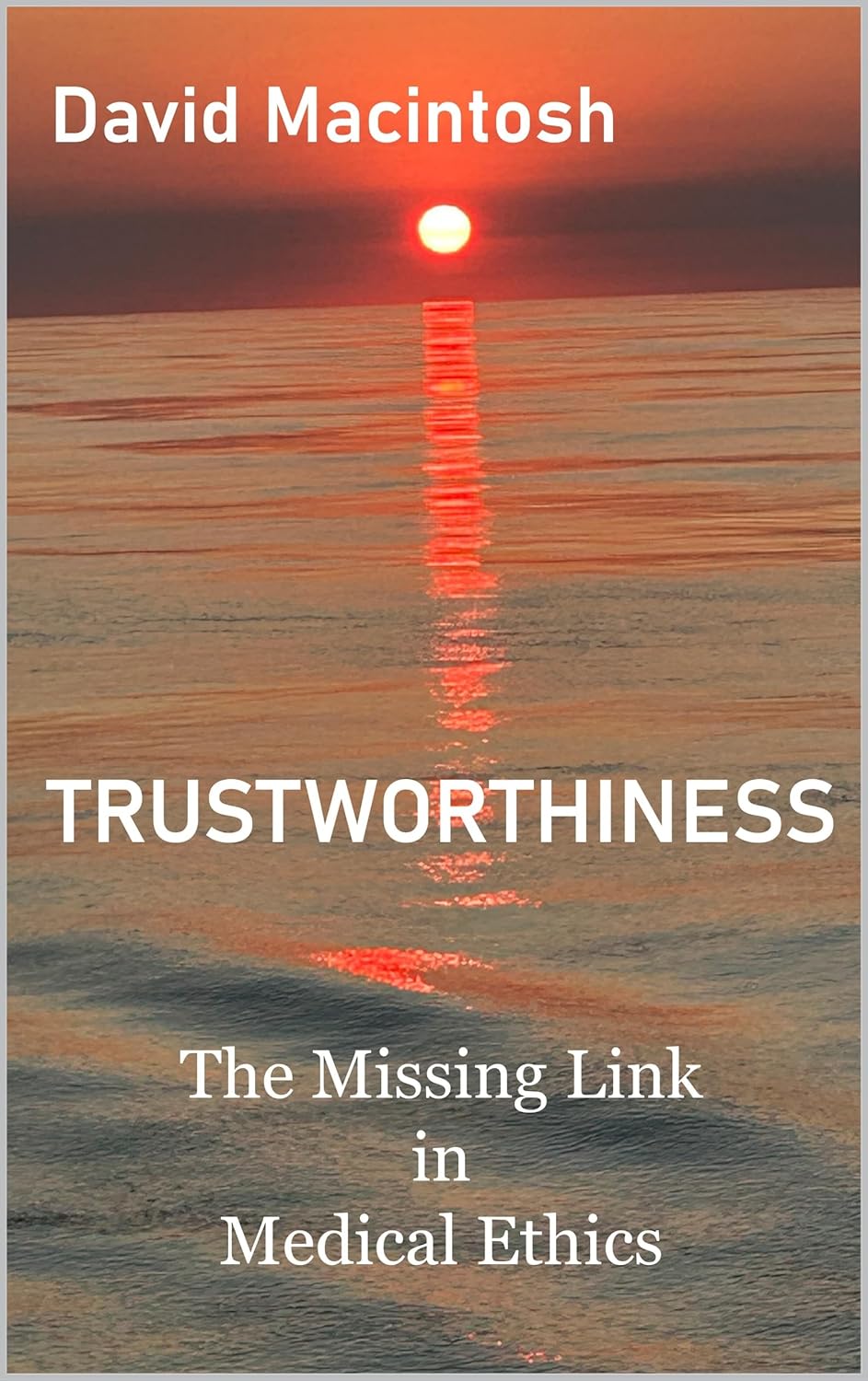 Book cover for Trustworthiness